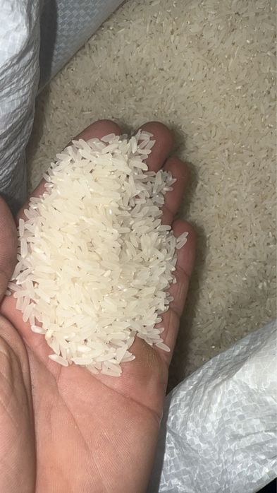 Узбекский рис лазер с собсвеного поля