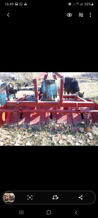 Фриза почварез..