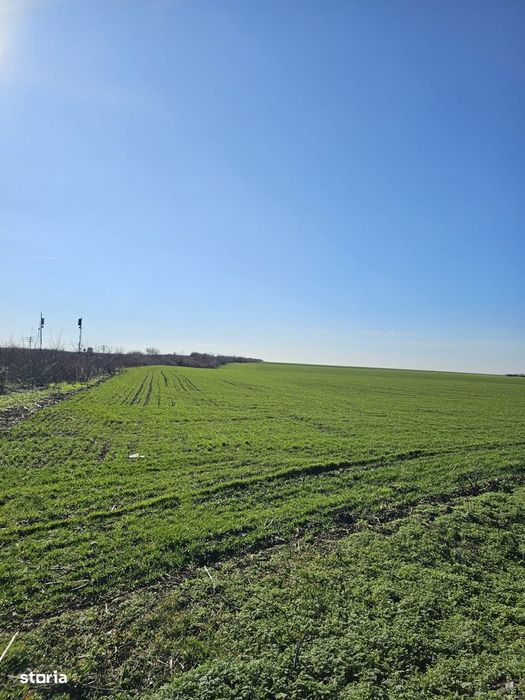 Teren extravilan 8600 mp Livada de Bihor