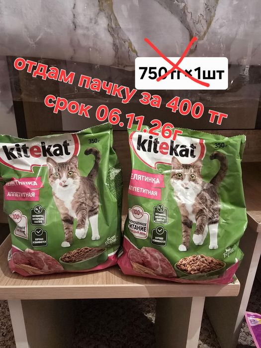 Корм для кошек и котят