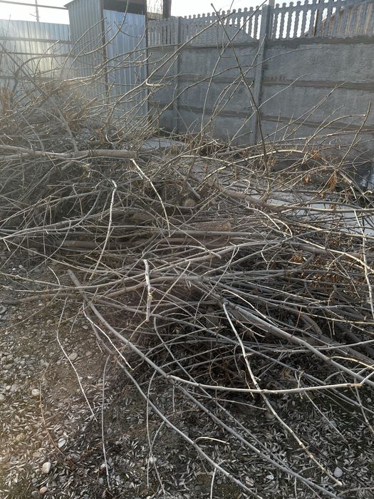 дрова для бани, шашлыка