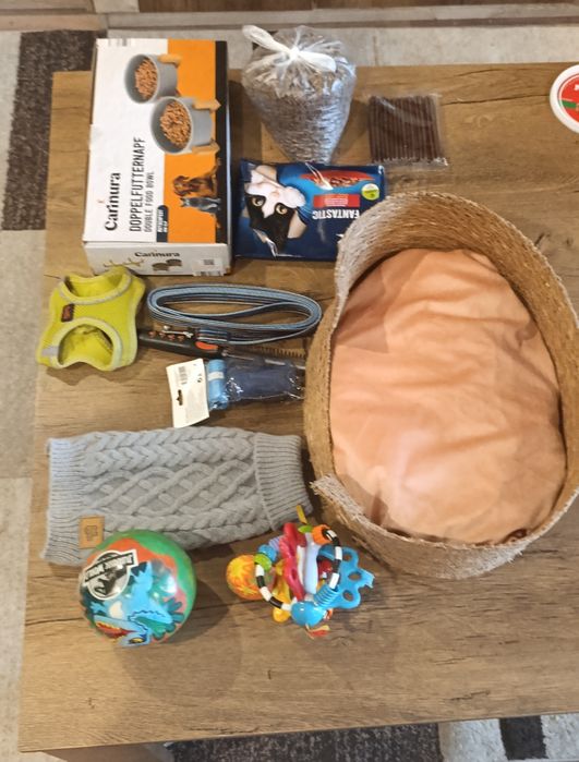 Мини Йоркширски териер момче