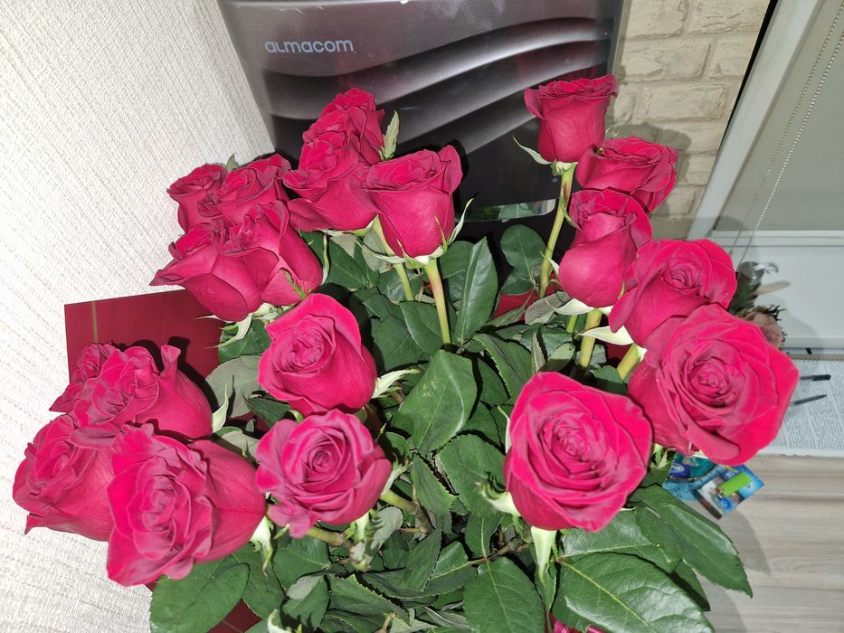 Продам свежий букет роз