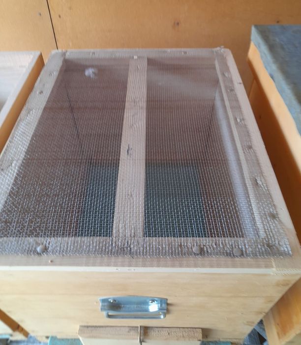 Vand STUPI (cutii stupi)