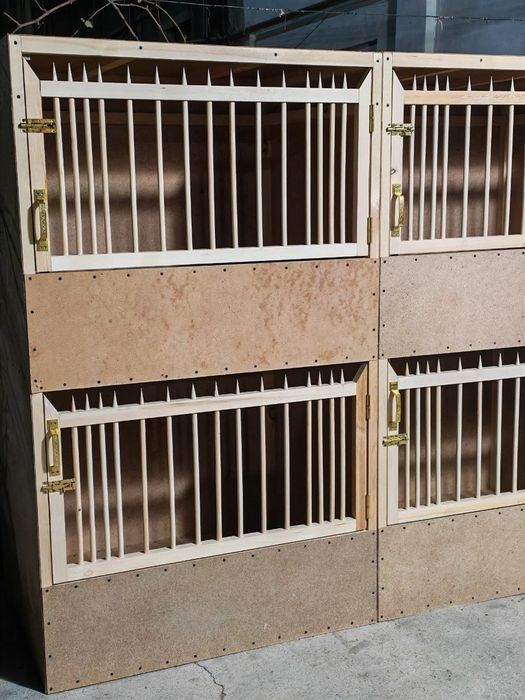 Dakan XO'ROZ uchun kataklar sotiladi