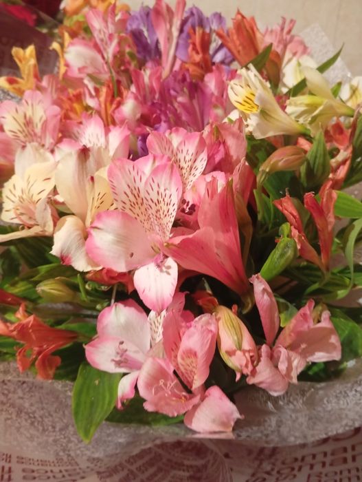 Продам цветы срочно