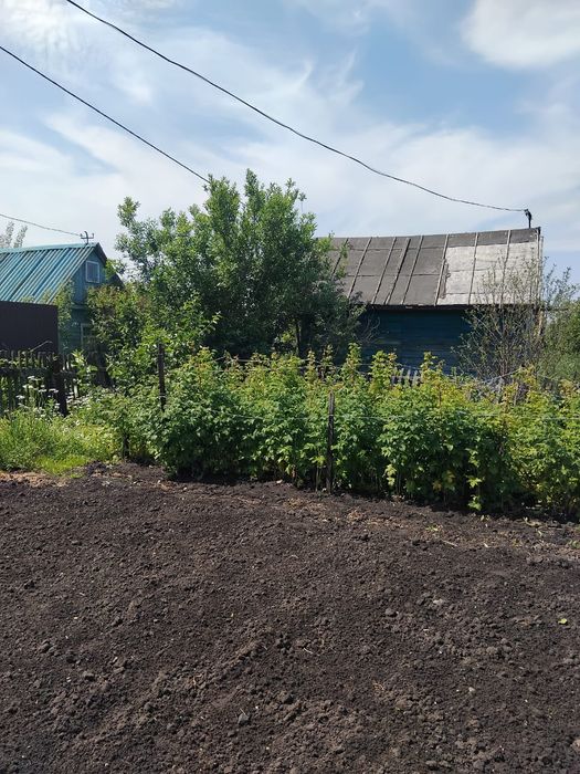 Продам дачу в СТ Борки
