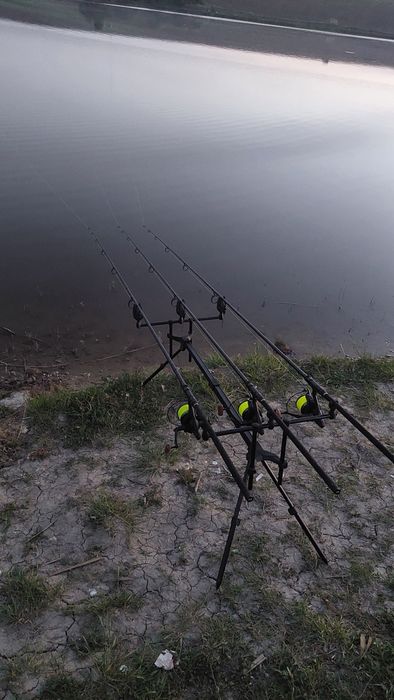 Rod pod Delphin bronx 2g