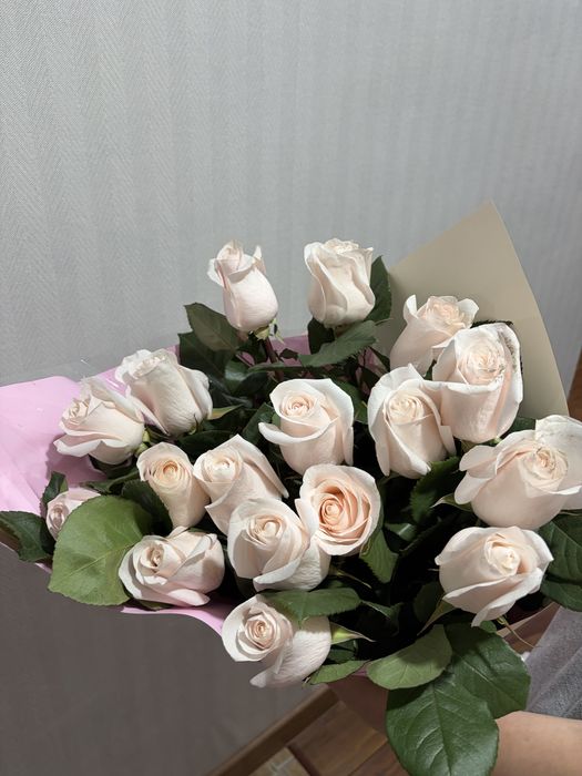 Метровые розы,17 штук