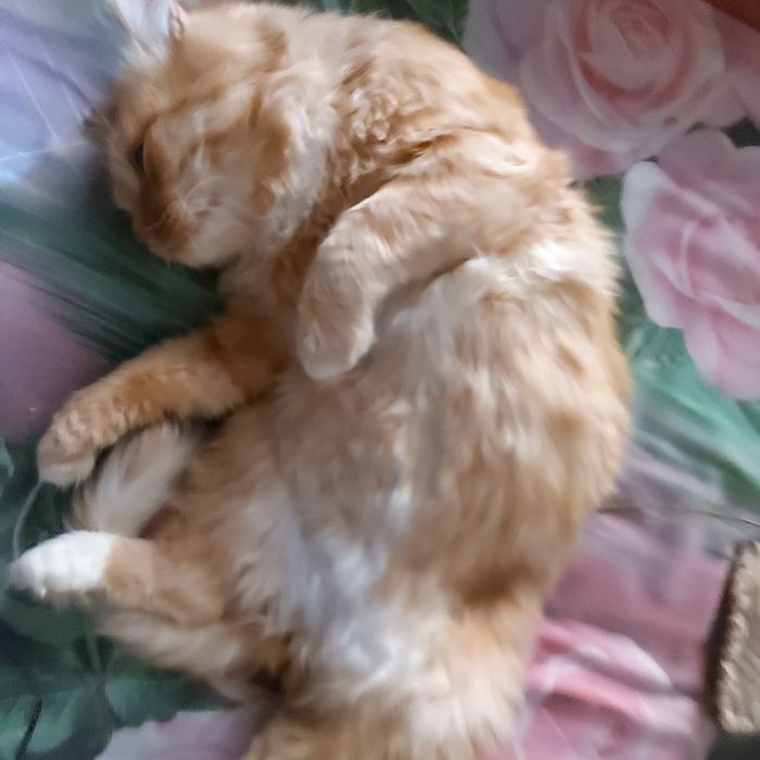 Ищет своего человека.