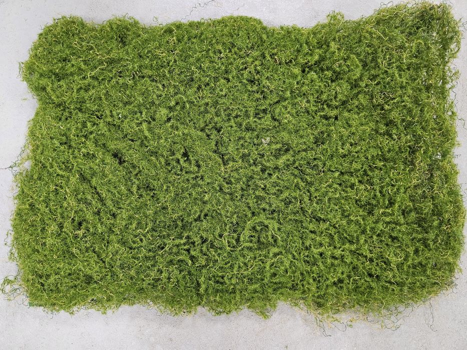 Трева пано скандинавски мъх Чисто ново