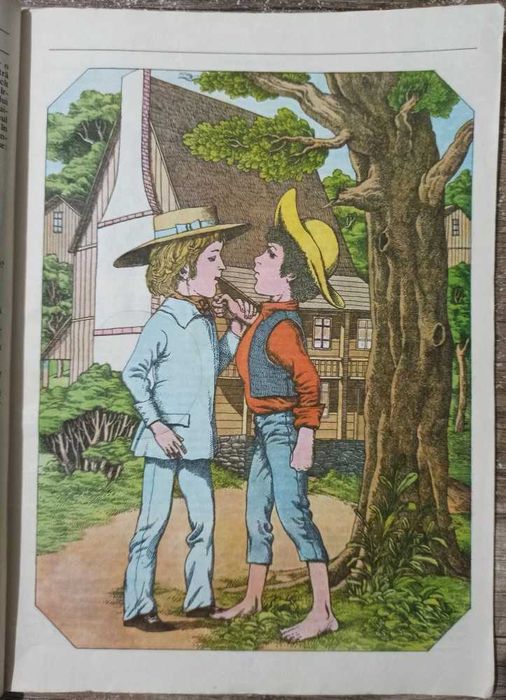 Carte Aventurile lui Tom Sawyer