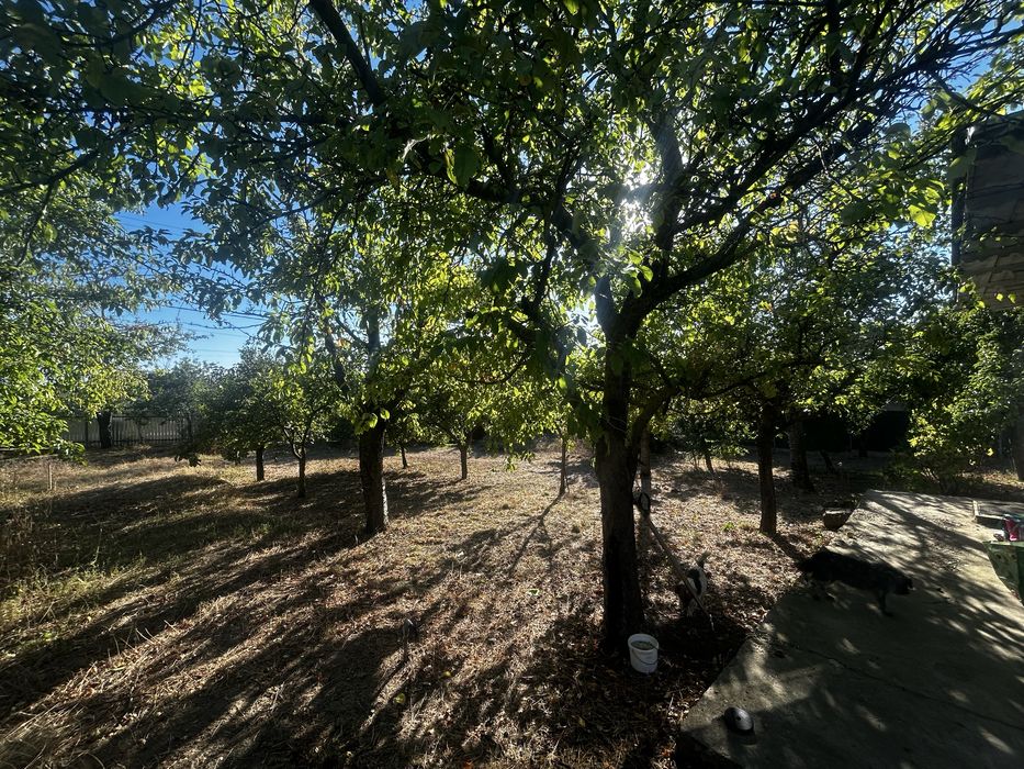 Teren 1.500 mp+ casa 75 mp – CUCA, GALAȚI