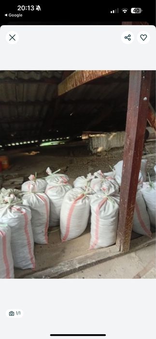 голубиный помет продается