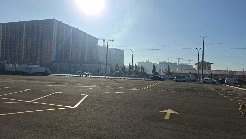 Аренда магазина 2460 м2