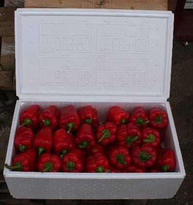 Ящик из пенопласта (Яшик для БРОККОЛИ)