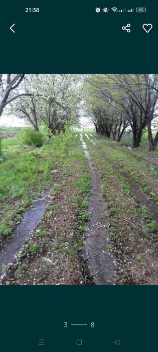 Продам сельское хозяйство