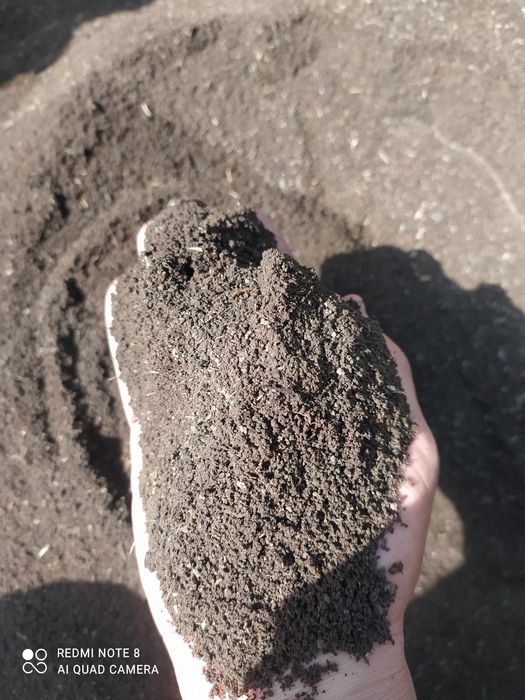 Biogumus va Kaliforniya qizil yomgir chuvalchanglari sotiladi.