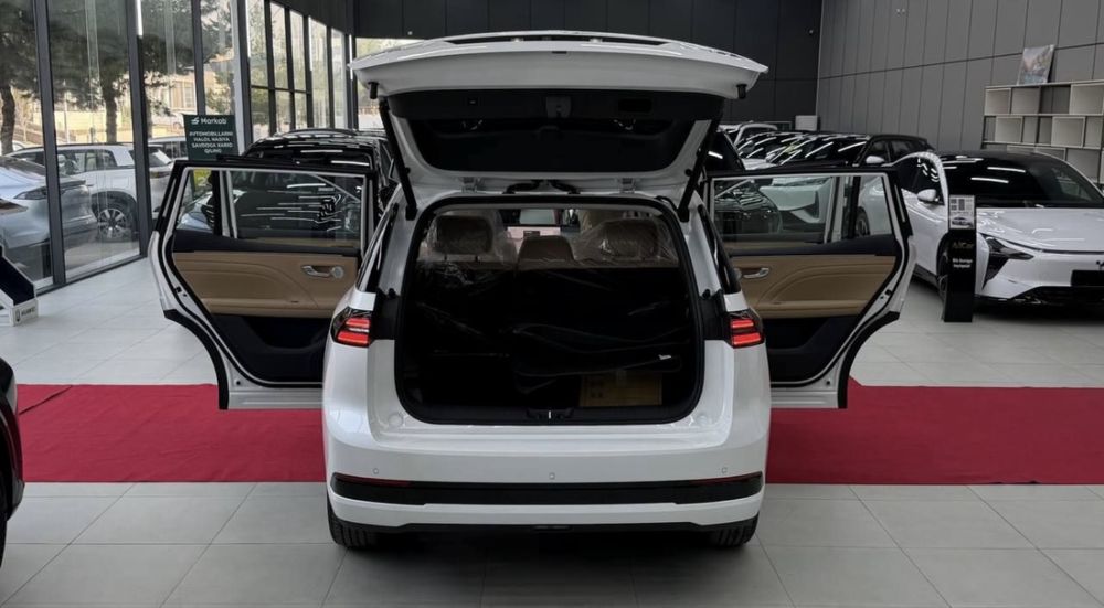 Aion Другая 2025 — 3