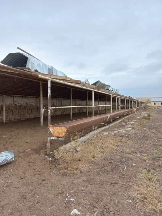 Ферма, для сельхоза и животноводничесва