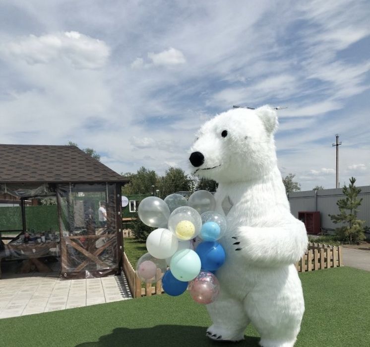 Поздравления мишки Умки и Панды