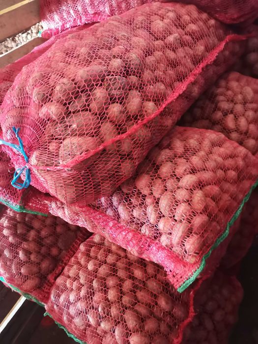 Vând cartofi pentru animale.