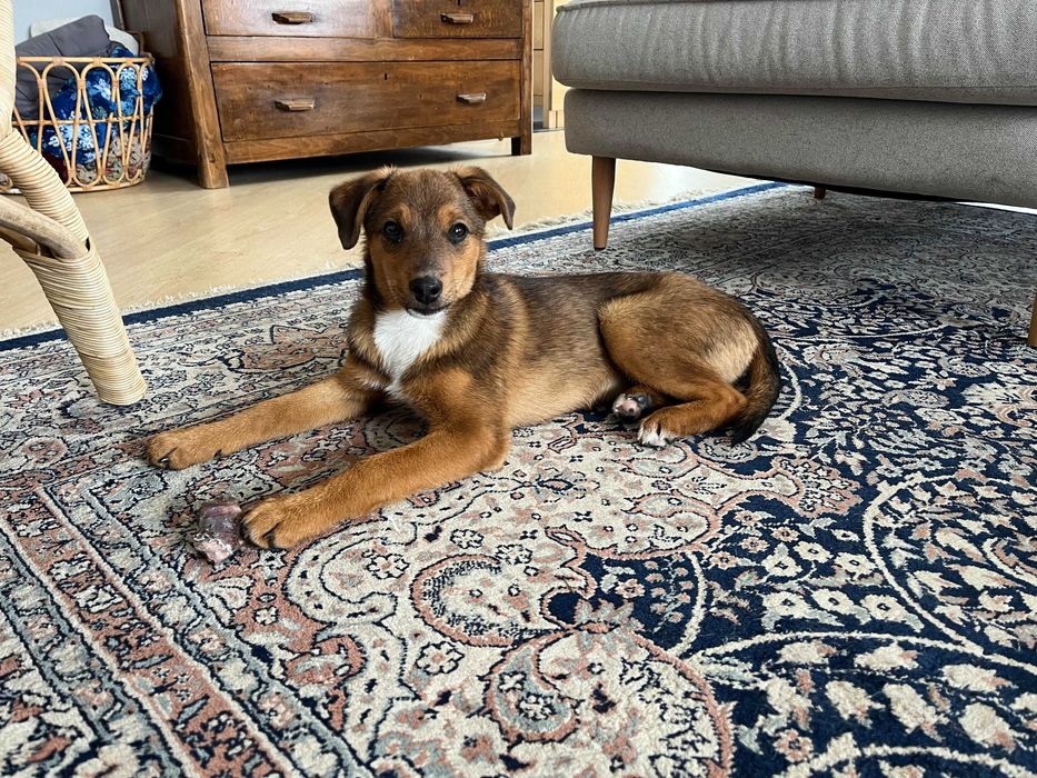 Он выжил не просто так — теперь он ждёт именно вас