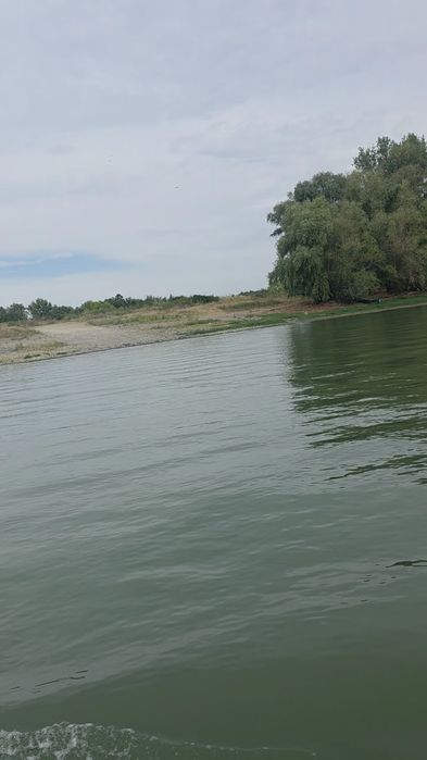 Teren aproape de malul Dunării