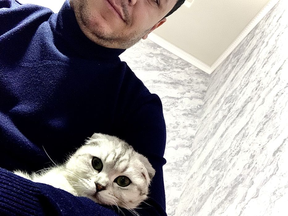 Кот очен умный и ласковий