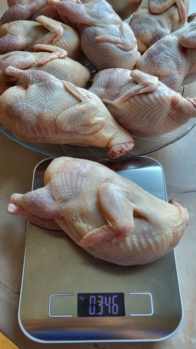 Продам мясо перепела