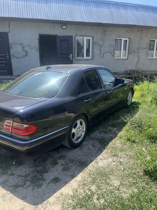 Лупарик в рассрочку