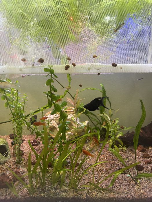 Аквариум 150 и 40 литр