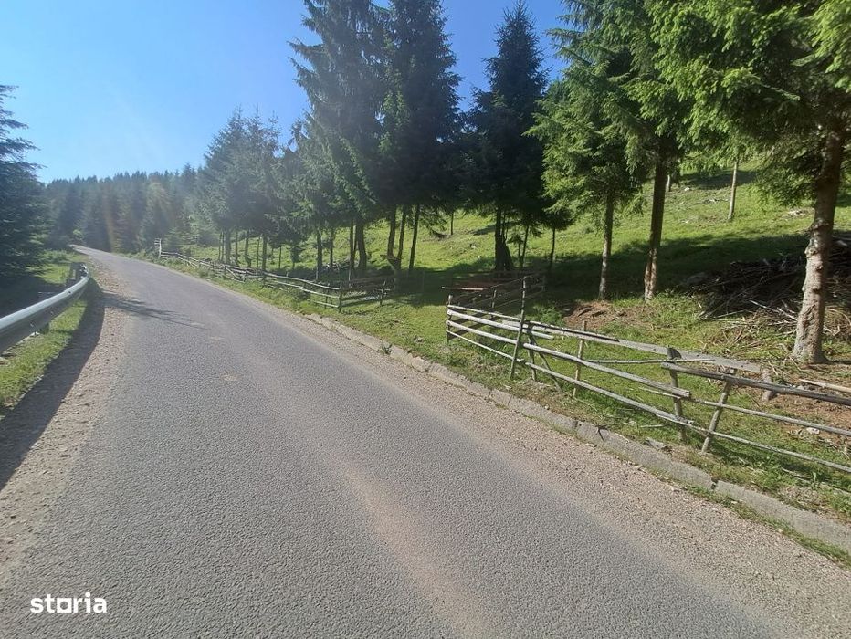 Teren Intravilan 1000mp | Drum ASFALTAT | MAGURI | PANORAMA