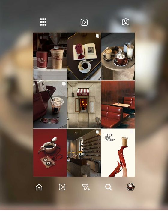 Oferim servicii de SOCIAL MEDIA MANAGEMENT pentru business-uri