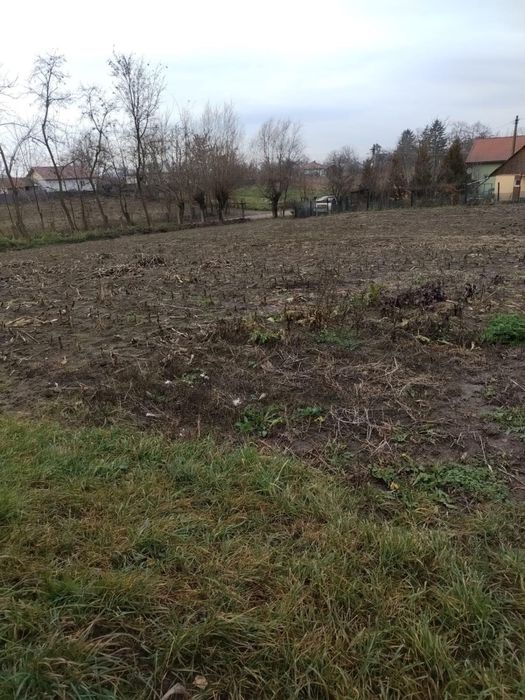 casa si padure de vanzare