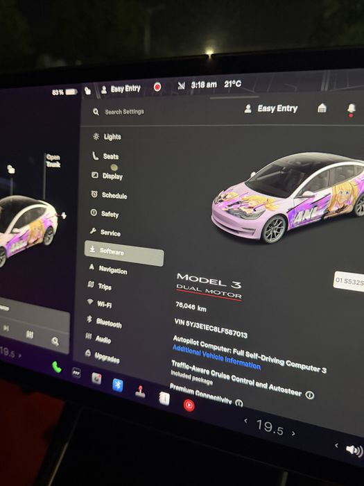 Tesla model 3 Performance 2020
