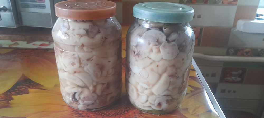 Маслята,валуи,кобра