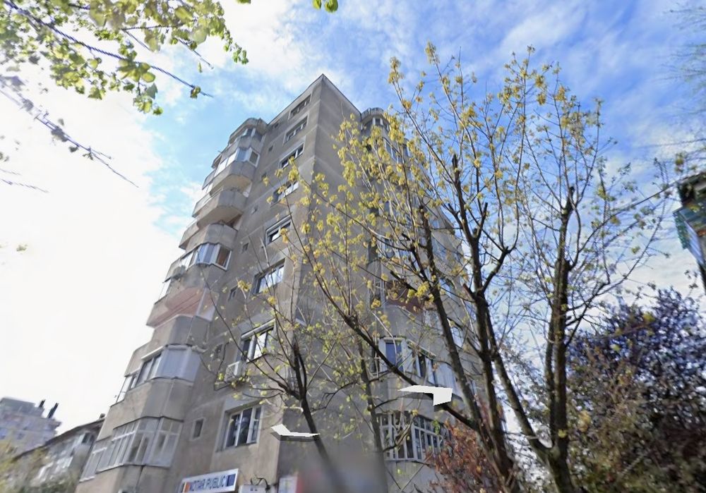 Apartament  cu 2 camere  de vânzare in Nufarul