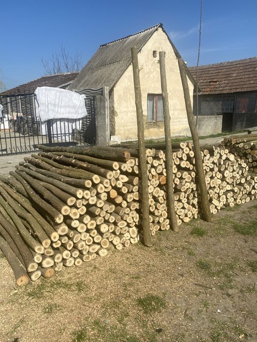 Pari si stalpi de gard electric