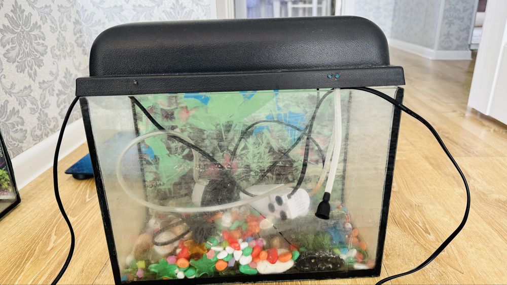 Аквариум 15 литр сатылады