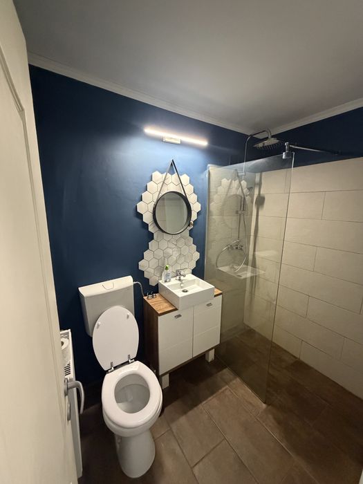 Inchiriez apartament cu 1 camera, Zona Bucovina, Timisoara