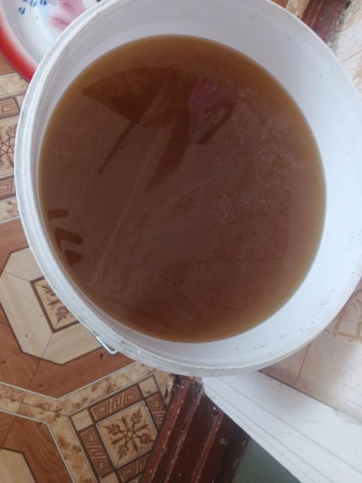 Продам мед на вес 1кг - 1800