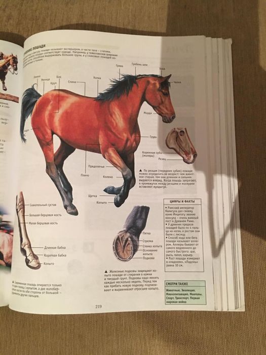 Продам энциклопедию школьника