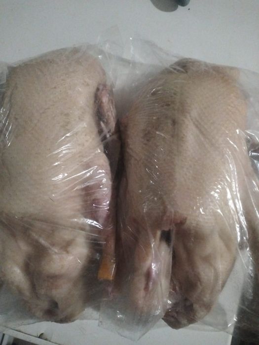 Продам мясо утки