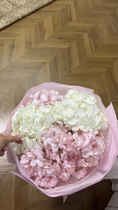 Цветы гортензия.