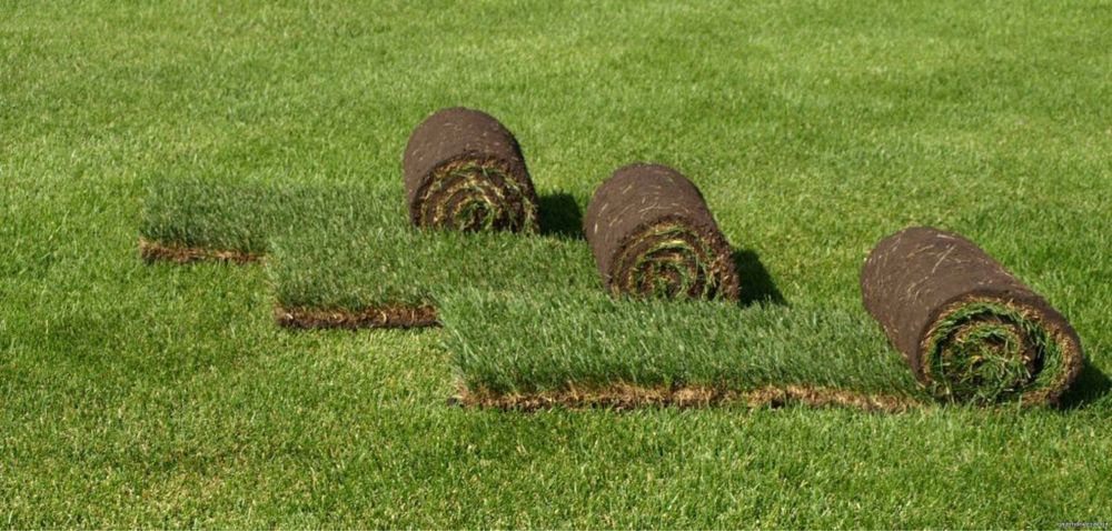 Доставка установка рулонного газона