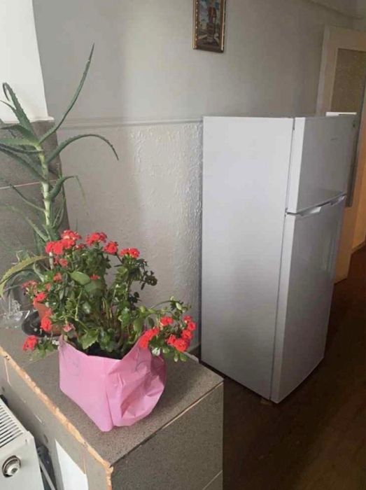 Apartament cu o camera