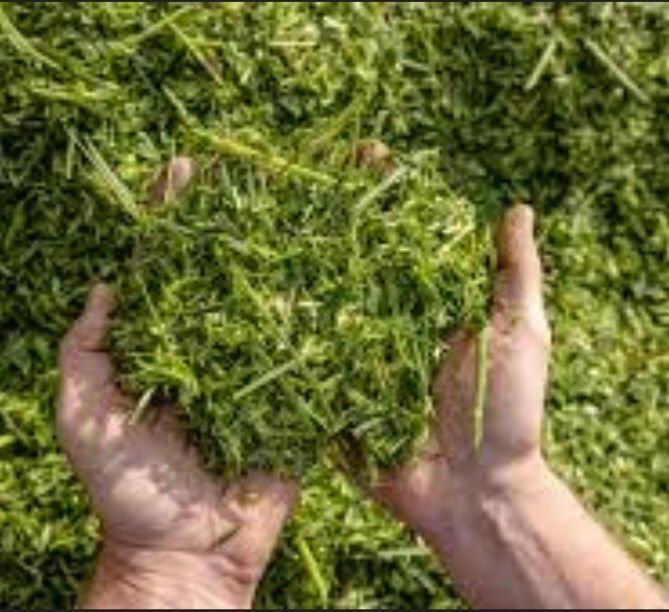 Продам силос не дорого