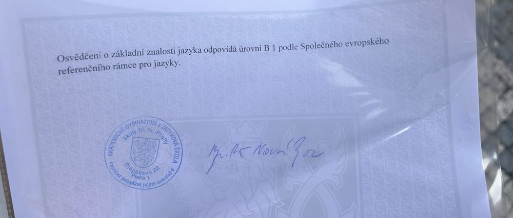 Репетитор чешского языка