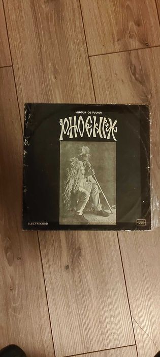 Vinil Phoenix Mugur de Fluier